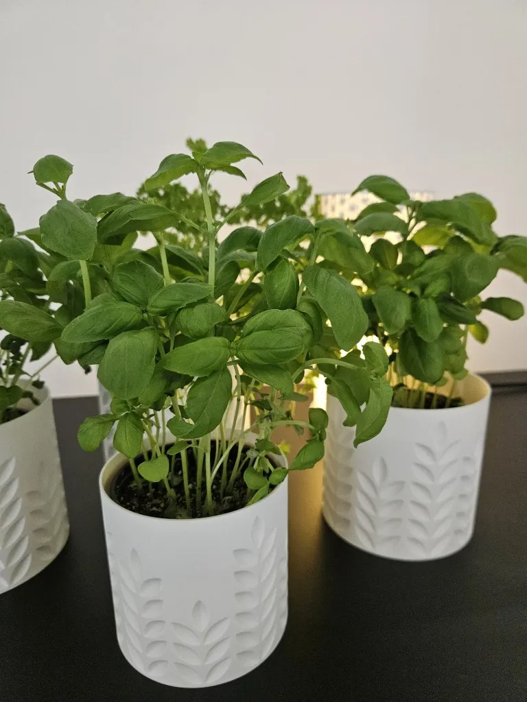 20260103_132206 (Gemiddeld).webp