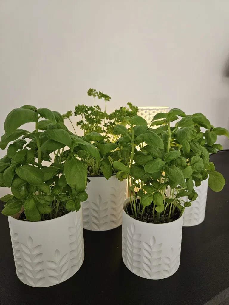 20260103_132211 (Gemiddeld).webp