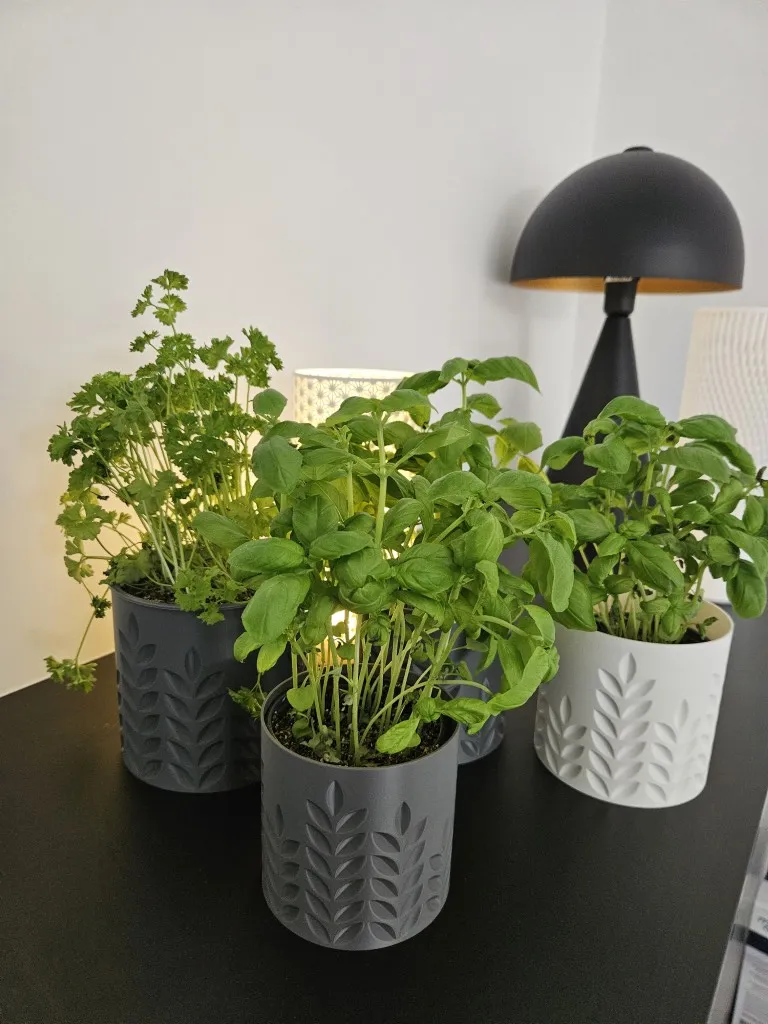 20260103_132431 (Gemiddeld).webp