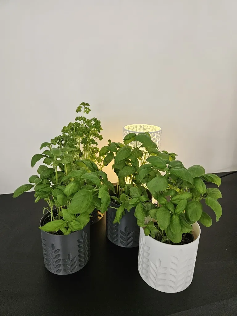 20260103_132422 (Gemiddeld).webp