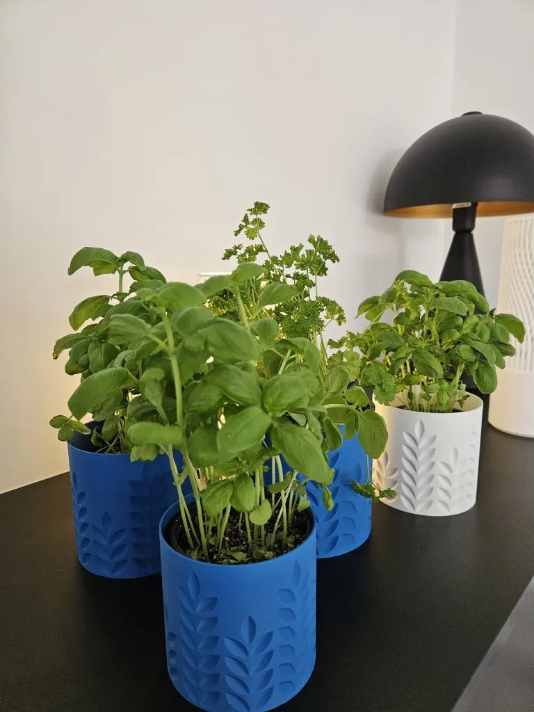 20260103_132539 (Gemiddeld).webp