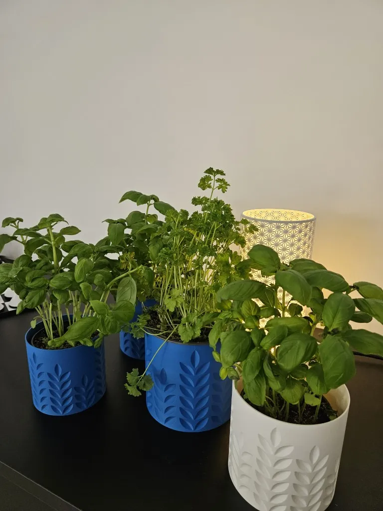 20260103_132549 (Gemiddeld).webp