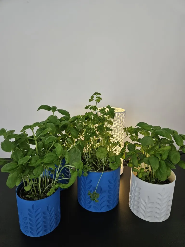 20260103_132532 (Gemiddeld).webp